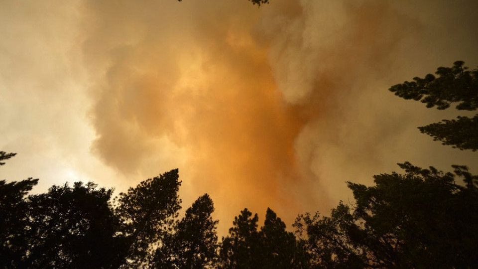 Горски пожари бушуват в Калифорния | StandartNews.com