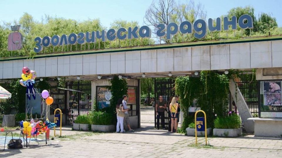 Мор затвори зоопарка в София | StandartNews.com