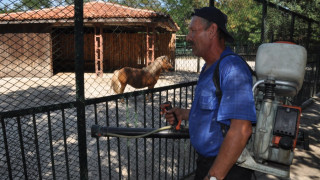 Извънредни мерки в хасковския зоопарк заради „синия език“