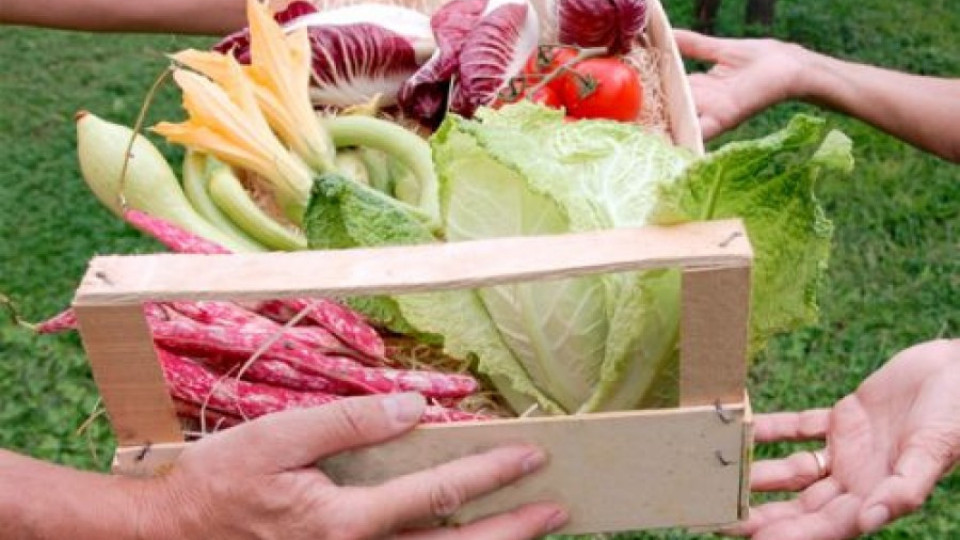 Бартер на храни в якорудски села заради безработицата | StandartNews.com