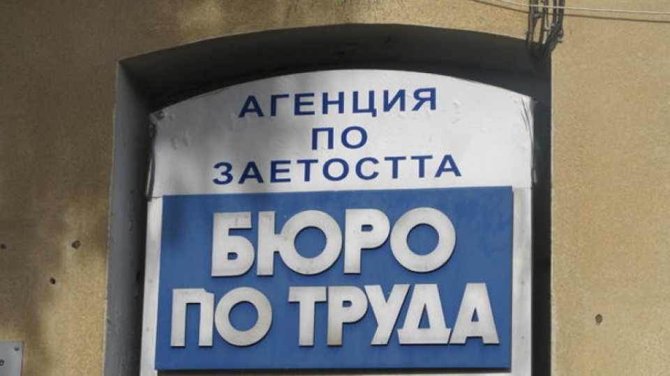 Опашки за 2000 евро заплата в Търново | StandartNews.com