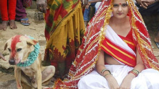 Индийка се омъжи за бездомно куче