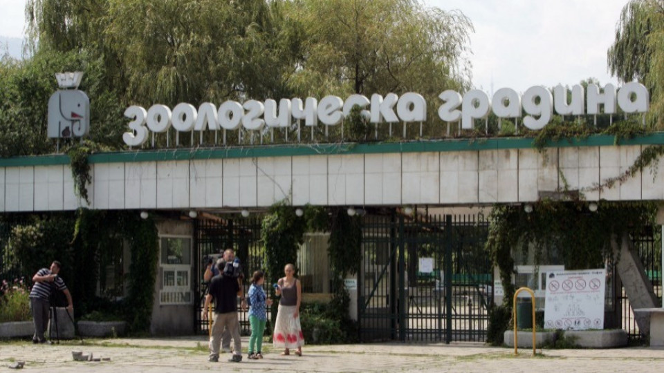 Сменят шефа на зоопарка в София | StandartNews.com