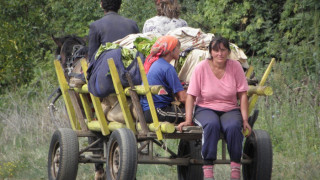 Кметове искат бързо изкупуване на тютюна