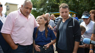 Депутатите на Бойко садят 40 000 фиданки