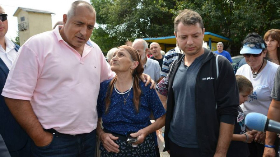 Депутатите на Бойко садят 40 000 фиданки | StandartNews.com
