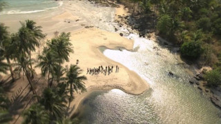 Христина Апостолова води в "Сървайвър"