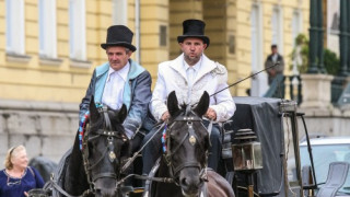 Царска карета по жълтите павета