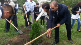 Цветанов и представители на ГЕРБ засадиха 40 дръвчета 