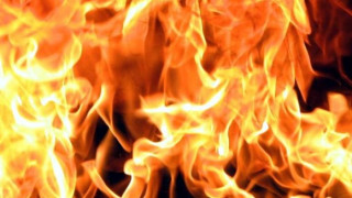 Пожар изпепели 50 дка лозя