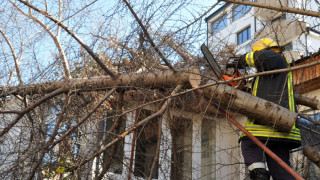 Буреносен вятър повали дървета в Хасково и Кърджали