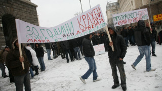 Над 100 млн. лв. носи незаконният дърводобив