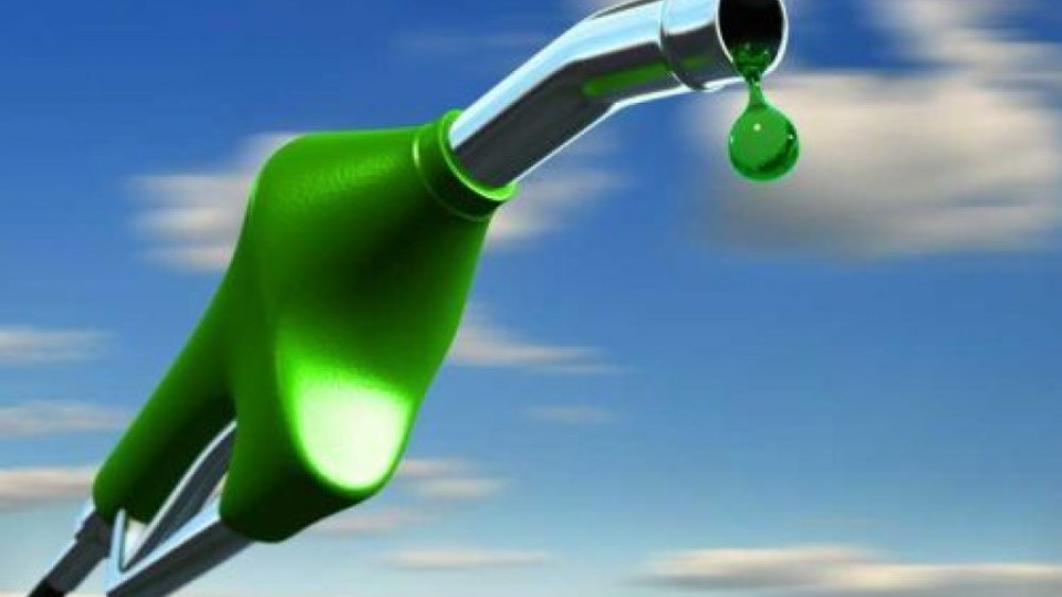 Помагат на бизнеса да прави биогорива | StandartNews.com