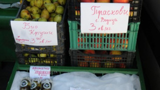 Фестивал на чистата храна започва в София