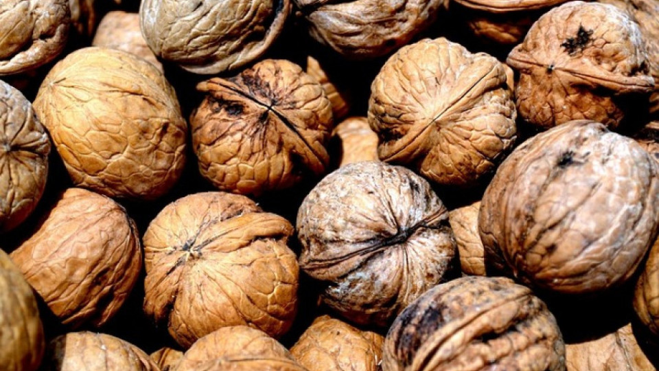Празник на ореха стягат в казанлъшко село | StandartNews.com