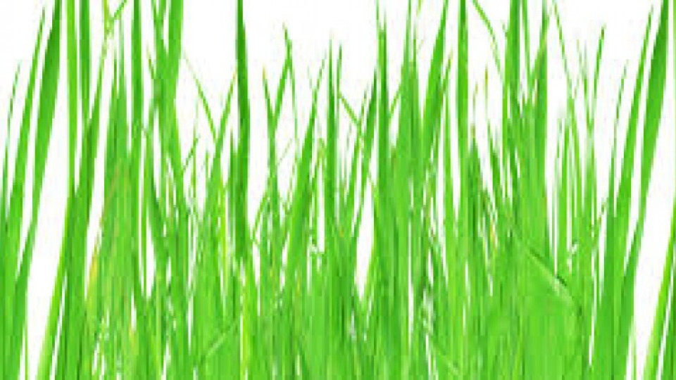 Кърджали e домакин на екофест „Зелена вълна 21 век” | StandartNews.com