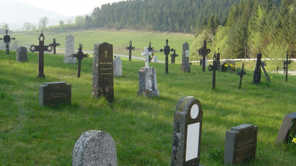 Отчитат по-ниска смъртност в Пиринско | StandartNews.com