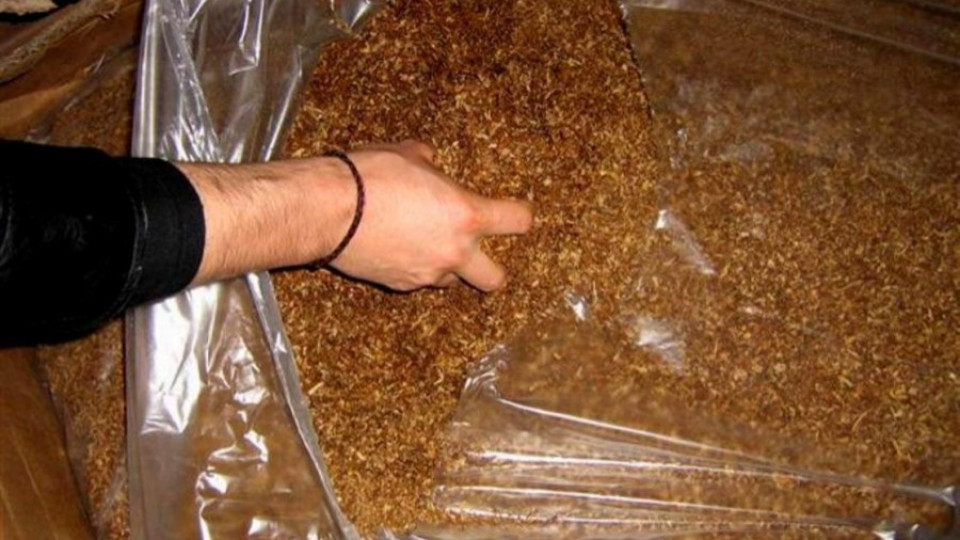 Под въпрос са цените за изкупуване на тютюневата продукция в Кърджалийско | StandartNews.com