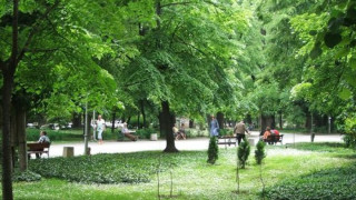 Откриха корозирал снаряд в Цар Симеоновата градина в Пловдив