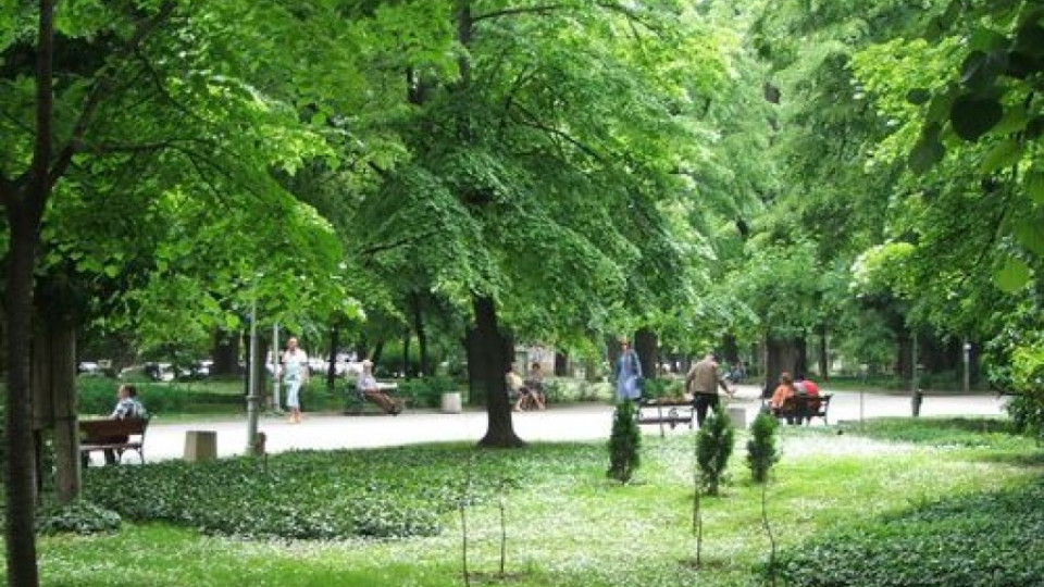 Откриха корозирал снаряд в Цар Симеоновата градина в Пловдив | StandartNews.com