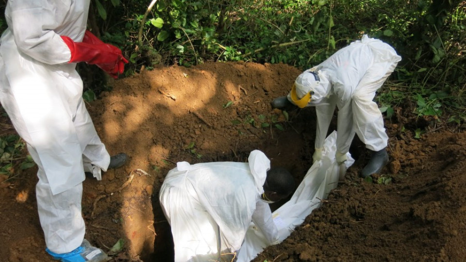 Ебола тръгнала от прилеп | StandartNews.com