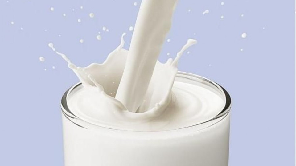 Фирма дава топло мляко на деца в Сливен | StandartNews.com