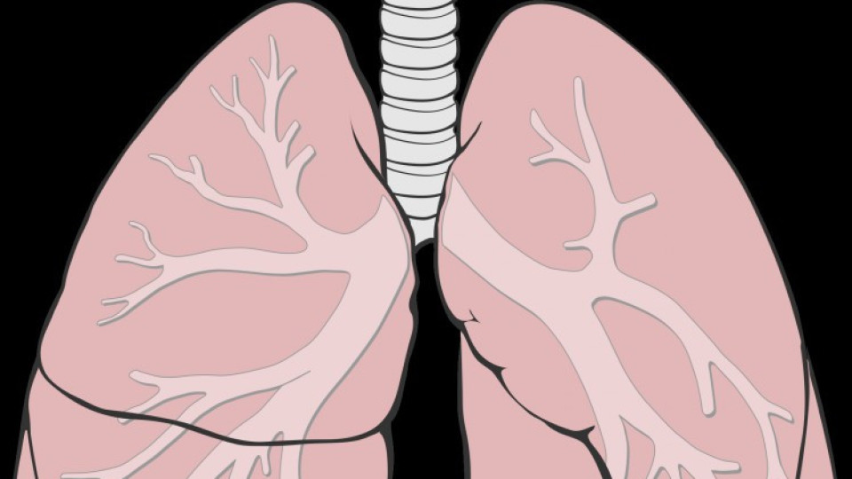Изследват безплатно дишането в 12 града | StandartNews.com
