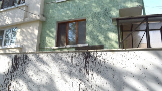 Заляха с черна боя къщата на видинския кмет