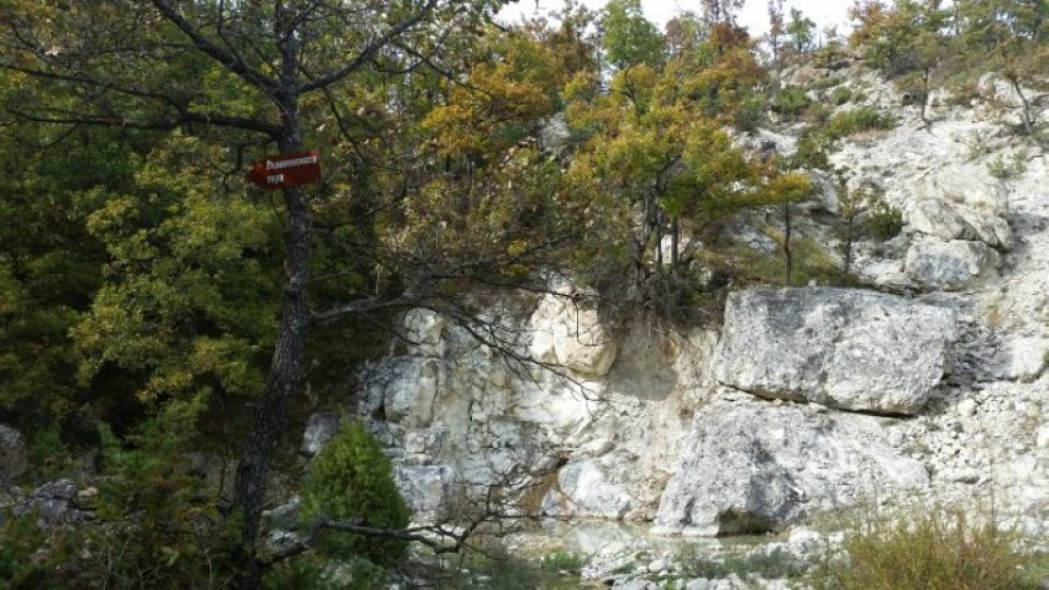 Живописна екопътека отвежда туристите до Вкаменената гора | StandartNews.com