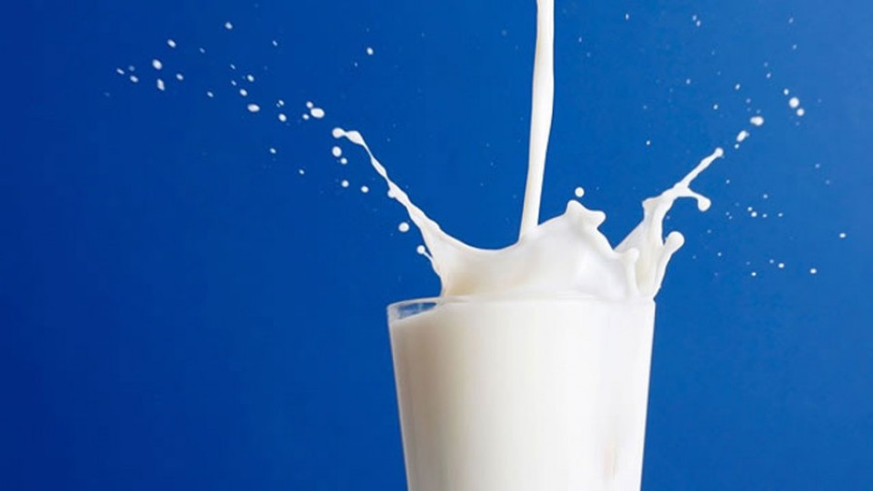 Изследване: Прясното мляко може да е вредно за костите | StandartNews.com