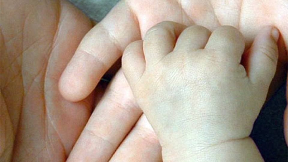 Дават помощ “Бебе“ в Димитровград | StandartNews.com