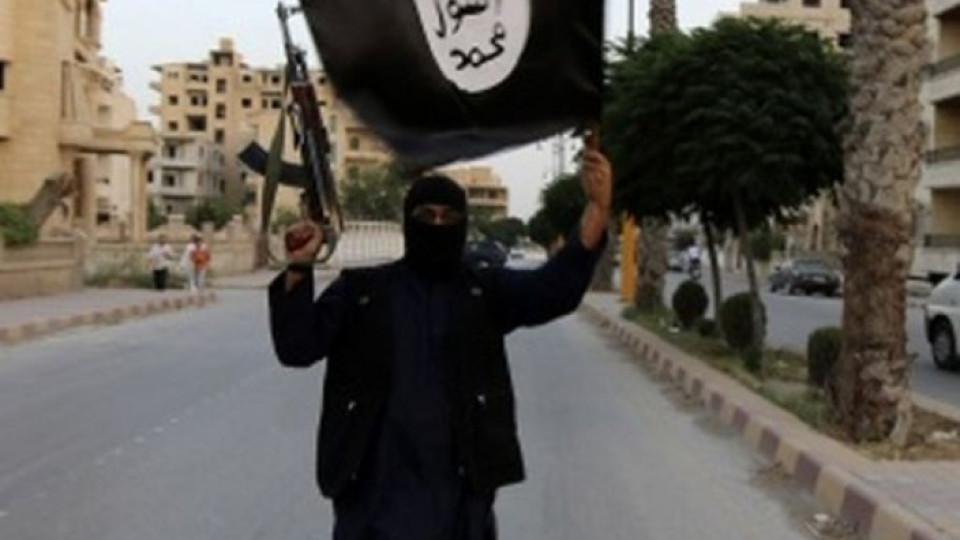 Спешни промени за джихадистите | StandartNews.com