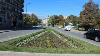 Правят Благоевград по-зелен и чист