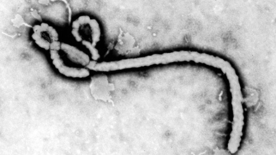 Израел отказва визи заради ебола | StandartNews.com