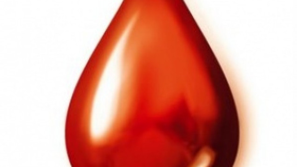Бургаска болница търси спешно кръв за родилка | StandartNews.com