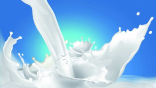 Млекопроизводители излизат на протест