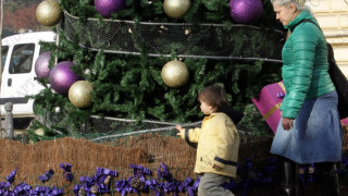 Палят коледната елха във Варна на Никулден