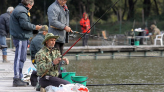 Видри ядат рибата срещу Никулден