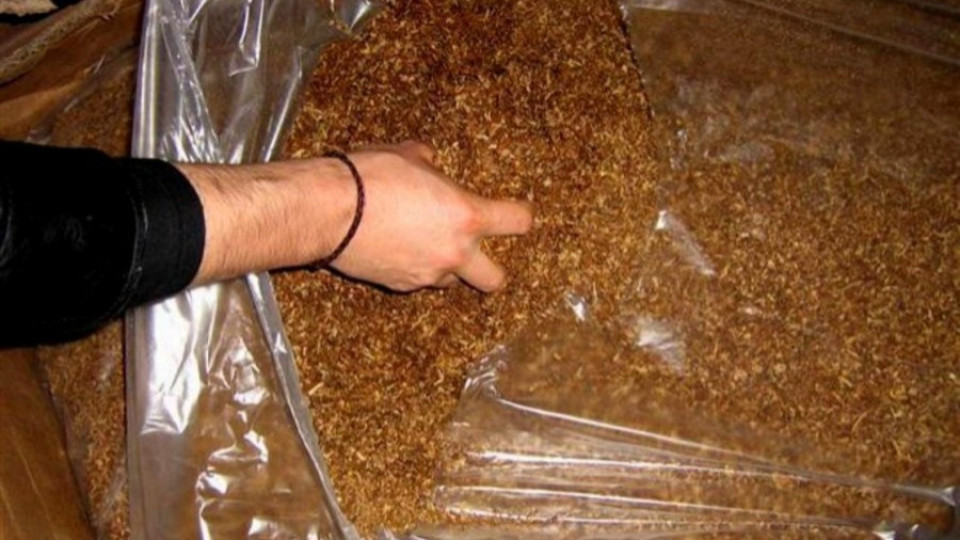 Тютюнджии от Пиринско тръгват на гурбет | StandartNews.com