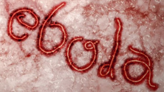 Отхвърлени са съмненията за ебола у нас