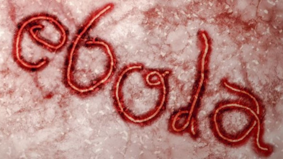 Отхвърлени са съмненията за ебола у нас | StandartNews.com