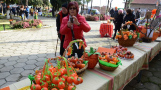 Празник на райската ябълка спретна старозагорско село