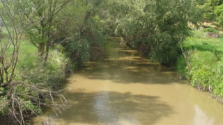 Русенски Лом заля дворове в с. Красен