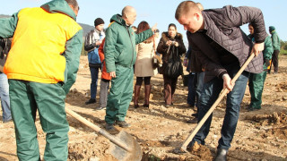 Възстановяват парк „Борова гора“, съсипан от незаконни постройки