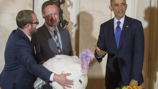 Обама "амнистира" пуйки, раздава храна за Деня на благодарността