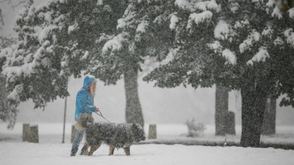Общинска фирма готова да „лови" снежинки в Благоевград | StandartNews.com