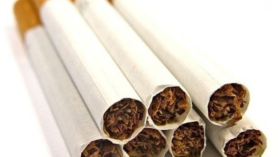 Акция за цигари без бандерол в Пловдив, има задържани | StandartNews.com