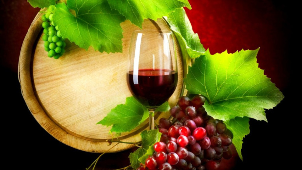 50% от българското вино е за износ | StandartNews.com