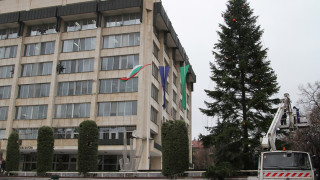 17-метрова елха ще грейне в Стара Загора