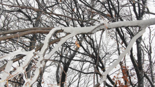 Ледът отново сковава община Кула